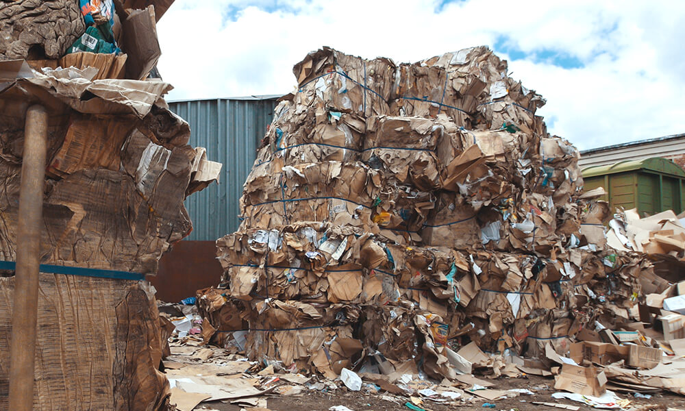 pile of cardboard in landfill