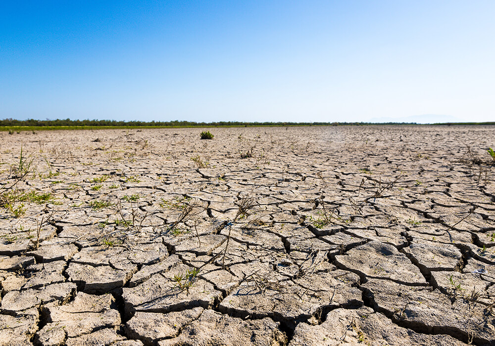 a barren desert, a potential outcome after 2030