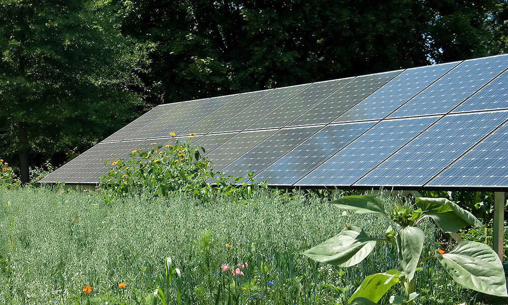 a backyard array of solar panels