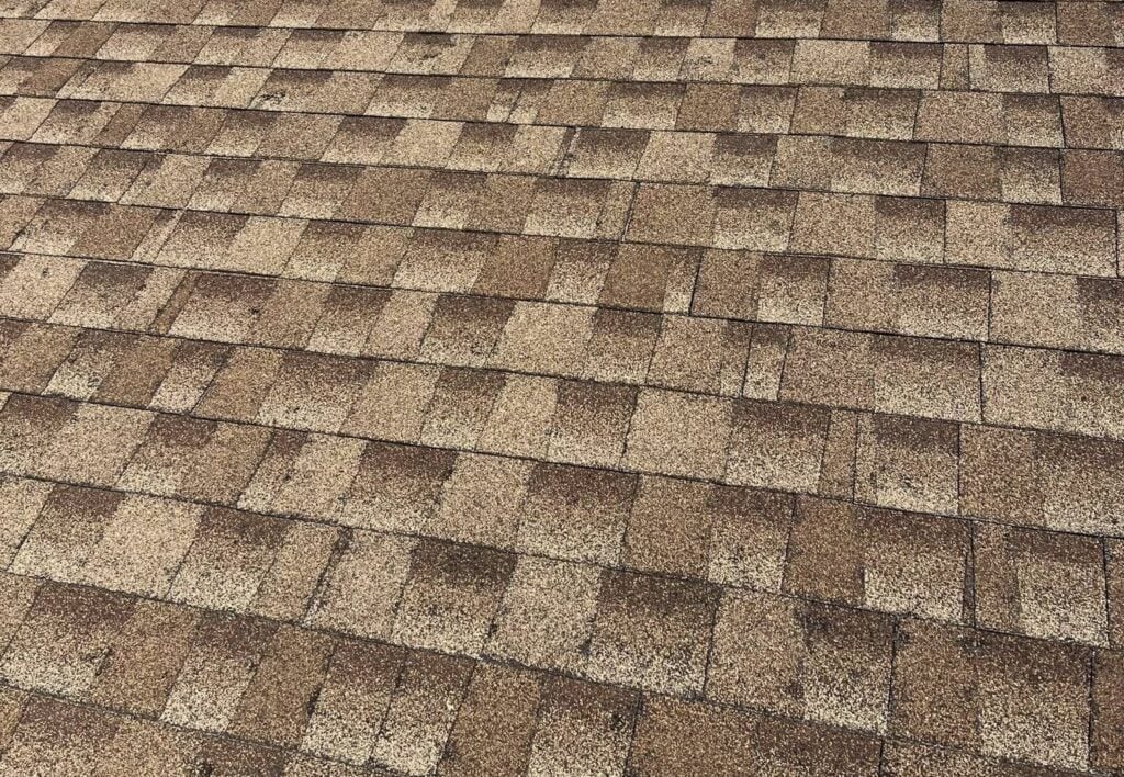 Tan ashpalt shingle roof
