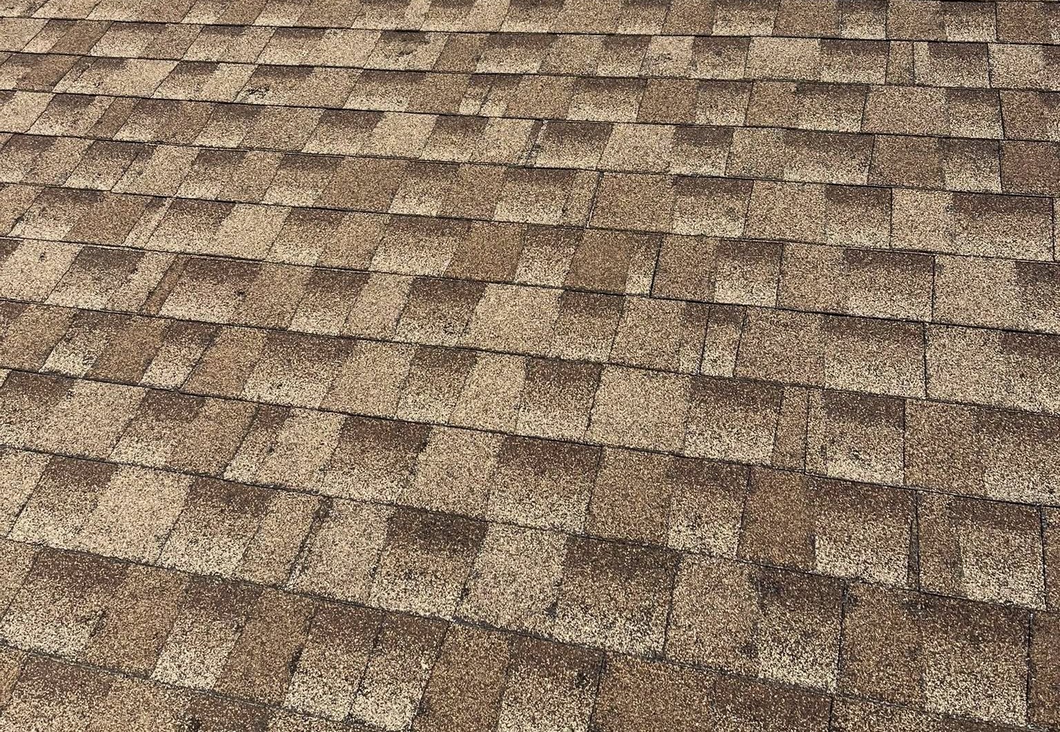 Tan ashpalt shingle roof