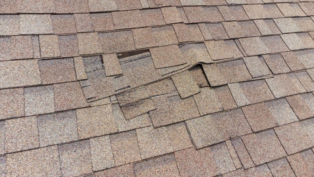 signs you need a new roof brown shingles water damage
