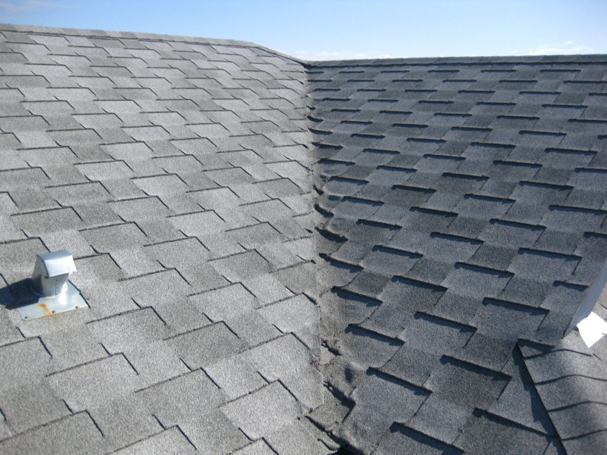 signs you need a new roof curly grey shingles