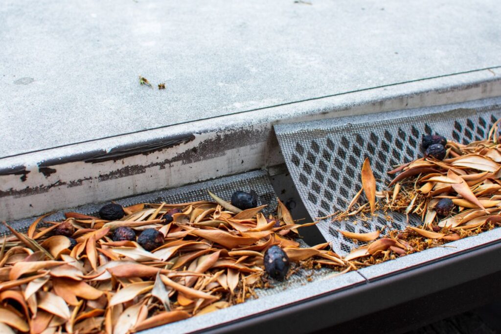 gutter guard installation leaves and dirt on top